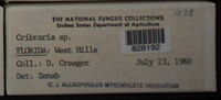 Image Associated With the Occurence